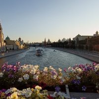 золотые лучи... :: Галина R...