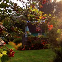 .. :: РИТА ЛЕВКОВА