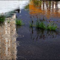 Дождь :: Сергей Премонишын