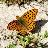 из снятого сегодня 2 :: Александр Прокудин из снятого сегодня 2 :: Александр Прокудин