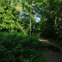 * * * :: Андрей Лукьянов