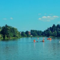 Гребнево :: Леонид leo