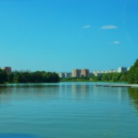 Гребнево :: Леонид leo