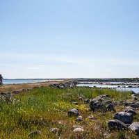 Соловки. Макушка лета. :: Дмитрий Печенкин