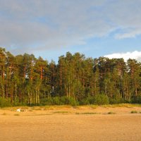 море.дюны. :: марта Камушкина