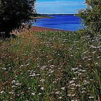 Август...Цветочный берег! :: Владимир 