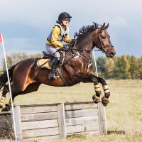 Кросс :: SanSan 