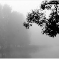 Туман на озере :: Aleksandr Gal Туман на озере :: Aleksandr Gal