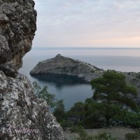 Природа Крыма :: Amazing Cosmea