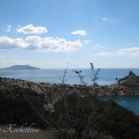 Природа Крыма :: Amazing Cosmea