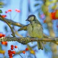 гимнастика :: Andrey Bragin 