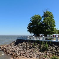 Петергоф. Набережная Финского залива :: Андрей Л. В. Петергоф. Набережная Финского залива :: Андрей Л. В.