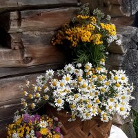 Деревенский натюрморт! :: Нина Андронова