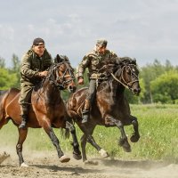 Скачки без сёдел на рабочих лошадях :: SanSan 
