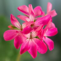 *** :: Виктор Иванович Чернюк