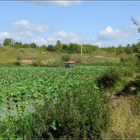 * * * :: Сеня Белгородский * * * :: Сеня Белгородский