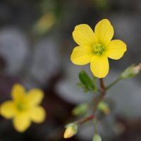 ..... :: Андрей Катков