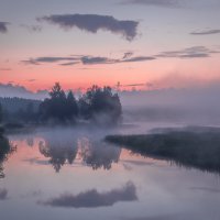 **** :: Елизавета .