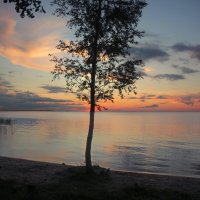 *** :: Сергей Григорьев