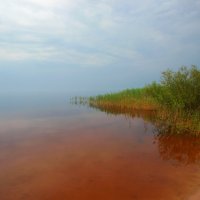 *** :: Сергей Григорьев