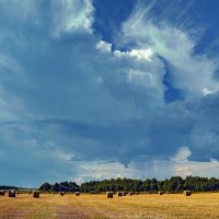 "Август, поле, жатва, снопы"© :: Владимир Макаров