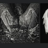 ----Triptych compilation :: AL Reborn 