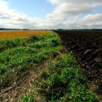 Земли плодородные :: Dar(k) Life