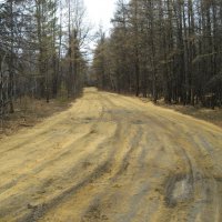 Осенняя дорога :: Anna Ivanova