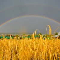радуга после грозы :: леонид логинов радуга после грозы :: леонид логинов