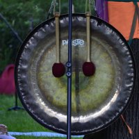 Инструмент. :: Наталья Вязигина