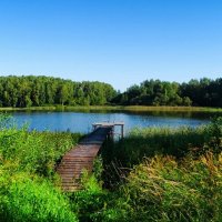 Мостки для рыбалки и ныряния. :: Милешкин Владимир Алексеевич Мостки для рыбалки и ныряния. :: Милешкин Владимир Алексеевич