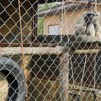 БРАТ_4 :: Сергей Янович Микк