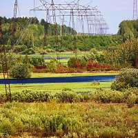 Июль...Стройный лес электромачт в пойме Сырого Агана! :: Владимир 