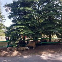 Talgar. :: Murat Bukaev 