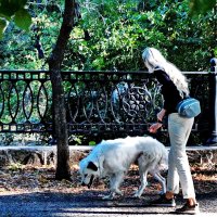 Пойдём домой... :: Николай Саржанов