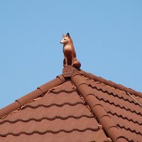 Ну и где тот петушок ! ) :: Анатолий Колосов