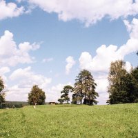 Пушкинский заповедник. Савкина горка :: Олег Зоркий