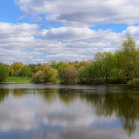 У озера :: Серый 