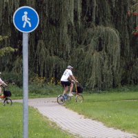 На прогулке. :: Борис Бутцев