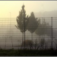 Светает :: Aleksandr Gal Светает :: Aleksandr Gal