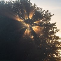 Первые лучики солнца. :: Виктор Евстратов