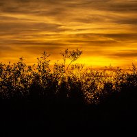 Закат на Мологе :: Николай Дергачев