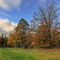 Краски осени :: skijumper Иванов