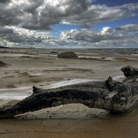 Берег БАЛТИКИ :: Дмитрий Иванов Берег БАЛТИКИ :: Дмитрий Иванов