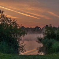 --- :: vladimir --- :: vladimir