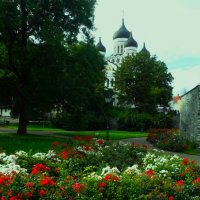 В Комендантском саду на Тоомпеа :: Aida10 В Комендантском саду на Тоомпеа :: Aida10