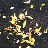 Рисунки осени :: Натали 