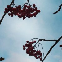 Красиво :: Натали 