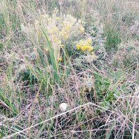 После дождика :: Андрей Хлопонин После дождика :: Андрей Хлопонин