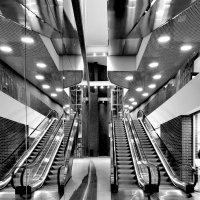 Симметрия. Черно-белая фотография :: Любимова Ольга 